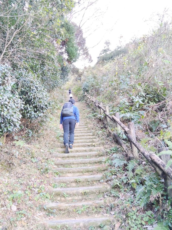 26.1.10鏡山⛰️唐津観光