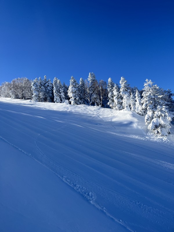 年末年始に山形県天元台スキー場