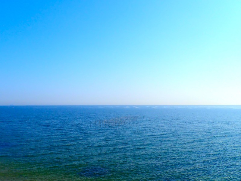 第51弾は白子touring