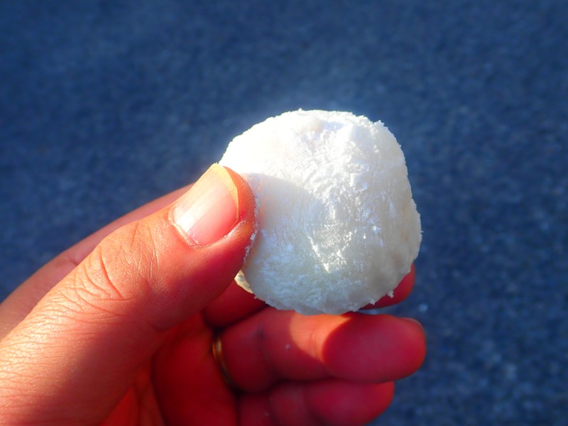 第51弾は白子touring