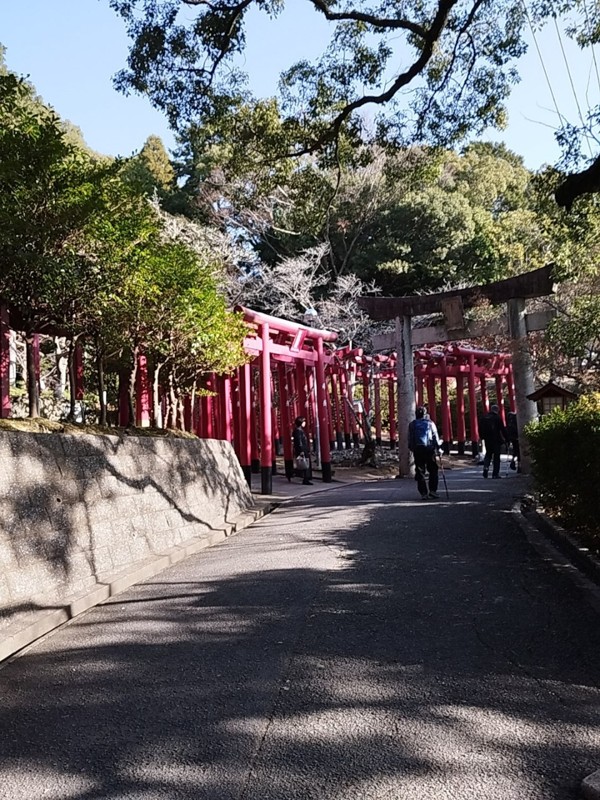 26.1.18宮地山⛰️宮地嶽