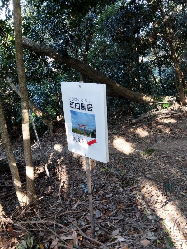 26.1.18宮地山⛰️宮地嶽