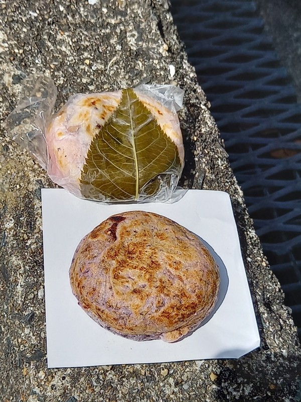 26.1.18宮地山⛰️宮地嶽