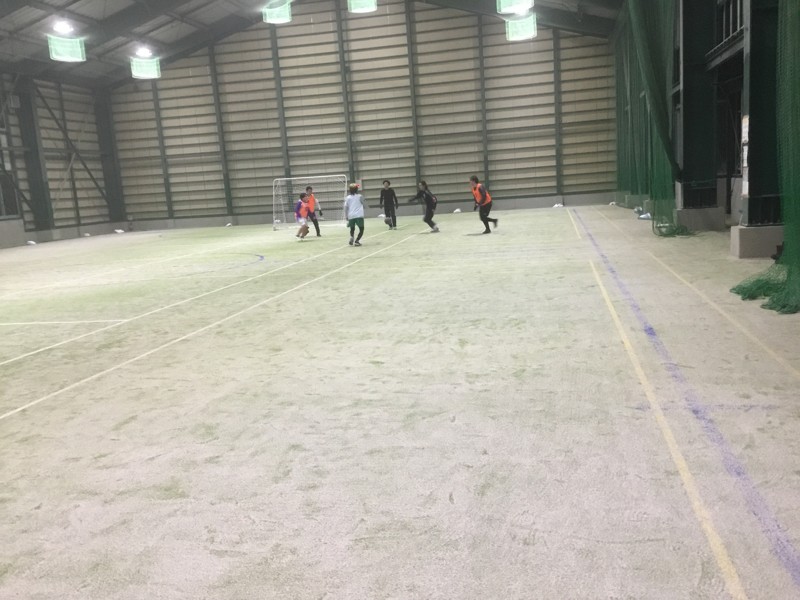 1/24グリーンサンスポ