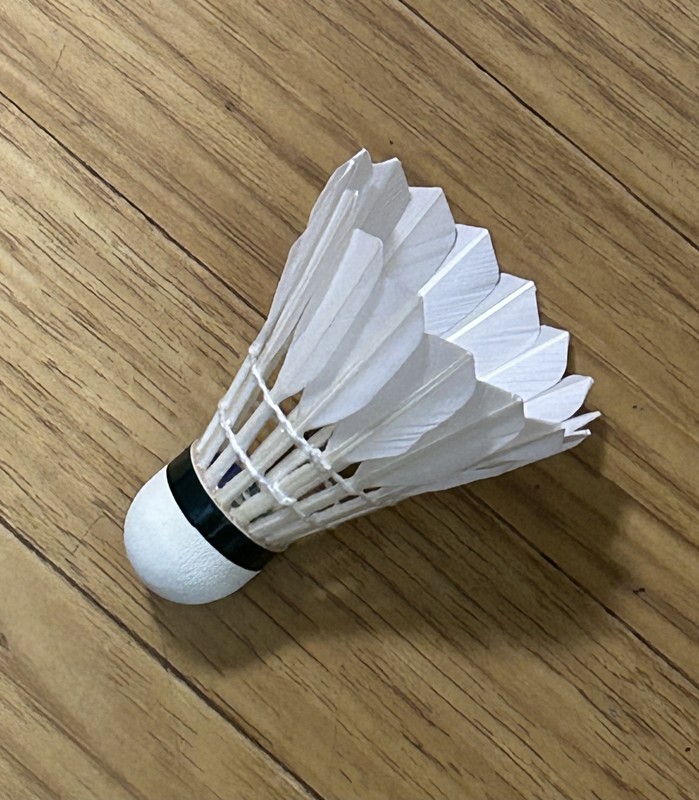 一緒に楽しく打ち合いましょう！