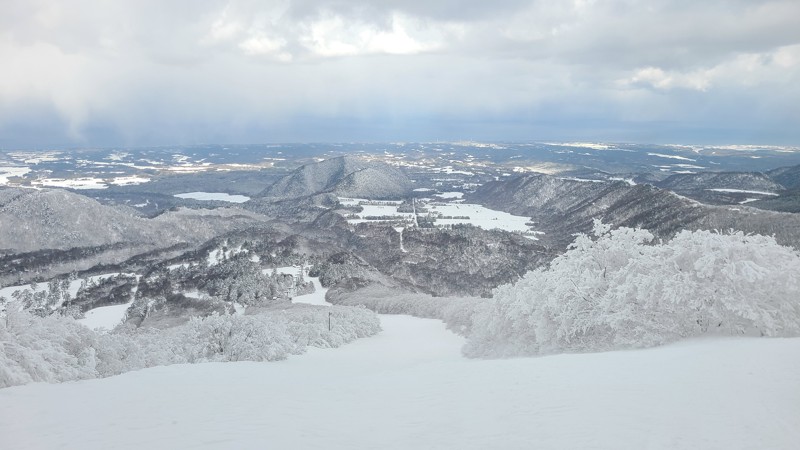 だいせんホワイトリゾ 1/29