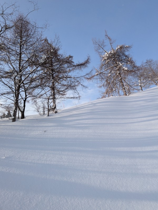 【大阪】社会人SNOWBOARD：FGY