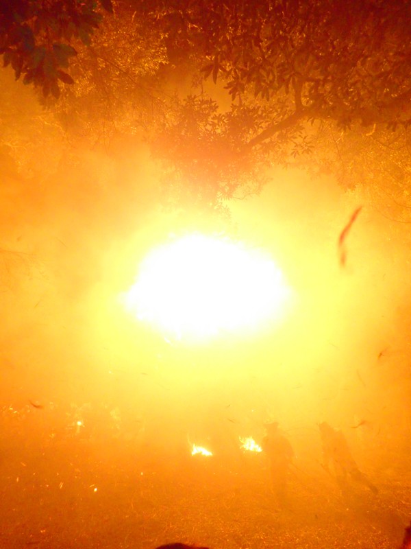 西尾火祭りウォーキング