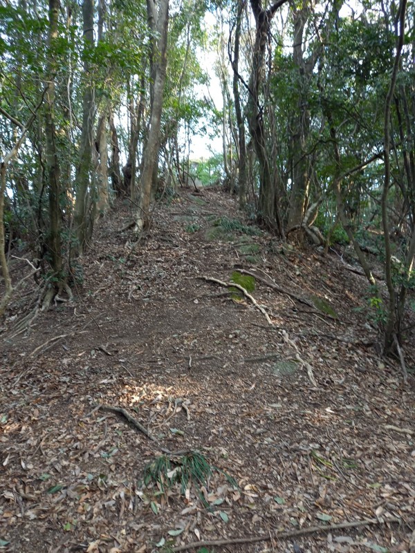 26.2.14可也山＆牡蠣