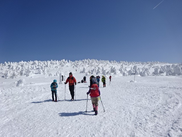 R8.02　仙人沢氷瀑