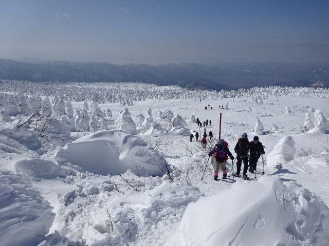 R8.02　仙人沢氷瀑