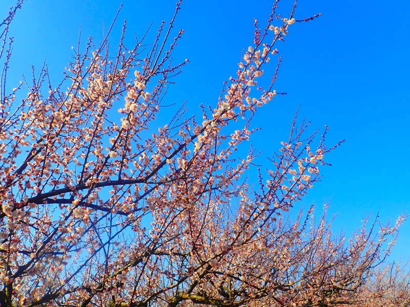 第52弾は知多touring