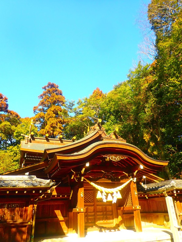 第52弾は知多touring