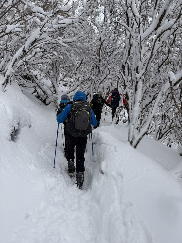 寒波の大船山へ