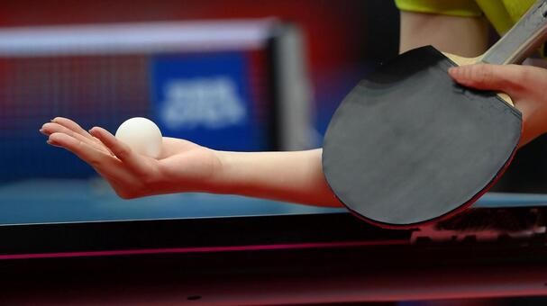 卓球クラブ🏓 PingPal