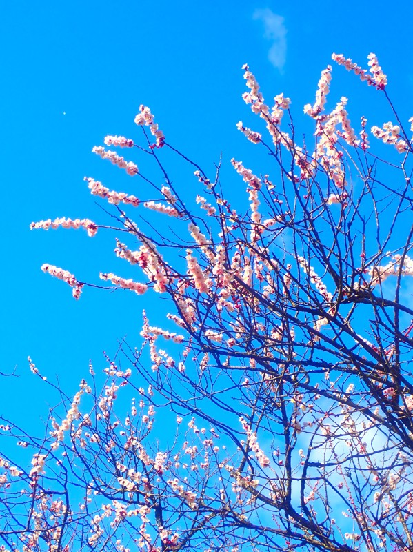 第174回は岐阜ride