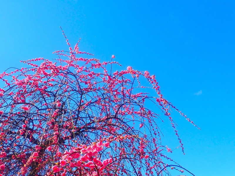 第174回は岐阜ride