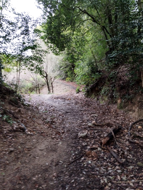 26.2.28四王寺山⛰️登山