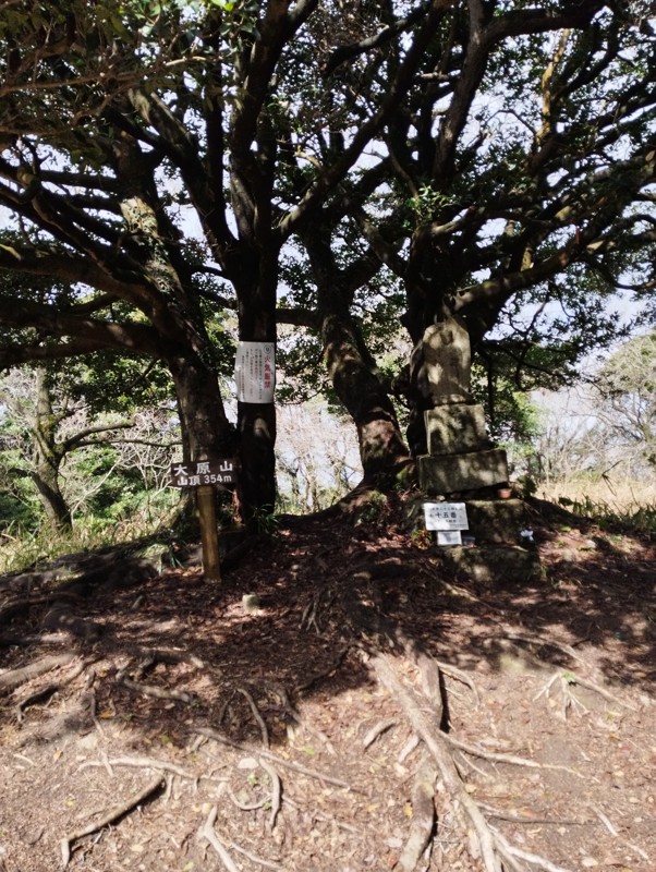 26.2.28四王寺山⛰️登山
