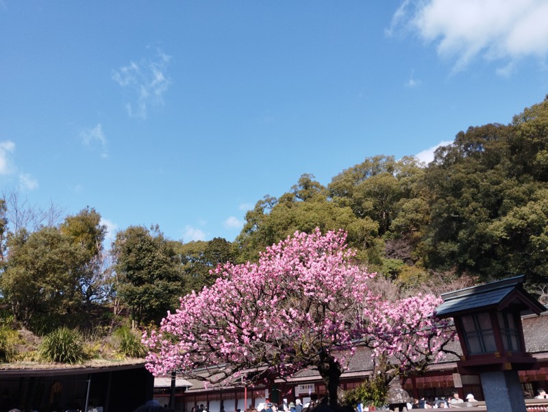 26.2.28四王寺山⛰️登山