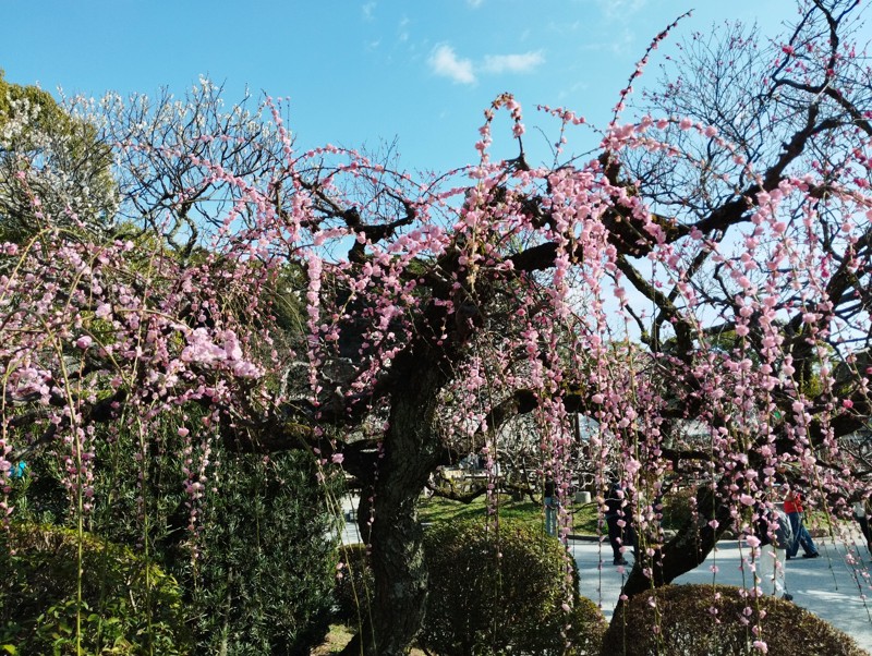 26.2.28四王寺山⛰️登山