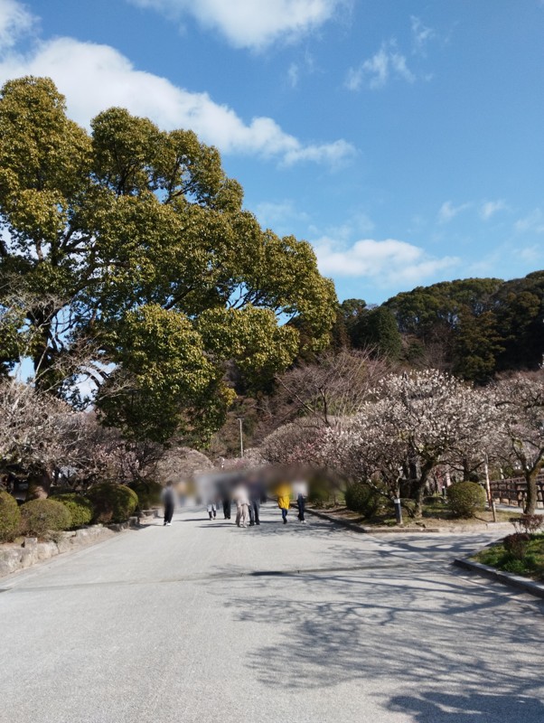 26.2.28四王寺山⛰️登山