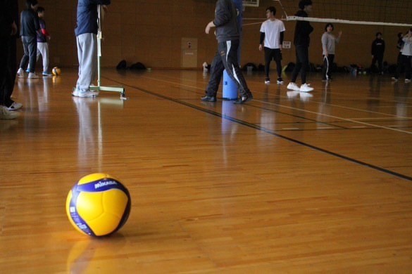 ✨️広島バレーボール🏐✨️