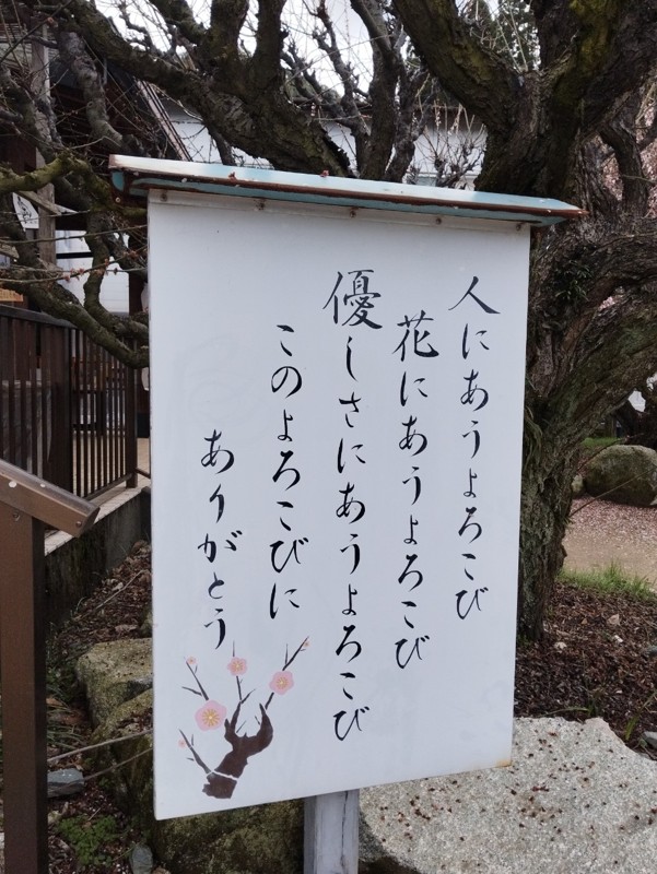 26.3.7三池山⛰️観光🦁