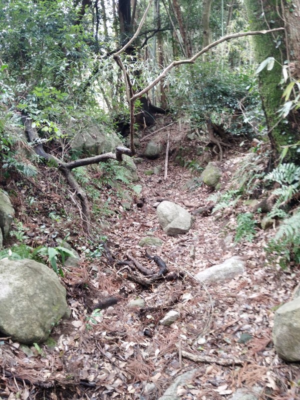 26.3.7三池山⛰️観光🦁