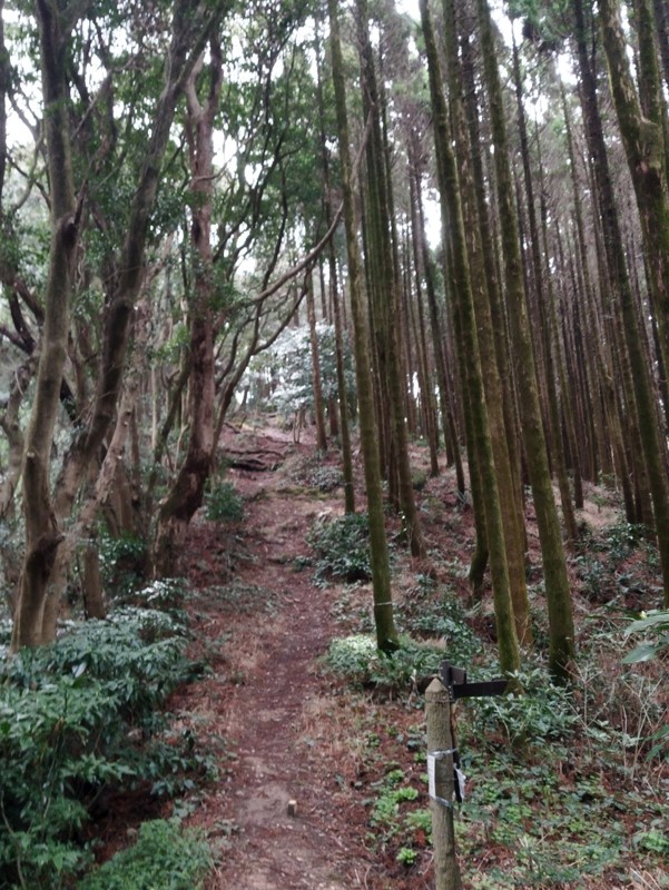 26.3.7三池山⛰️観光🦁