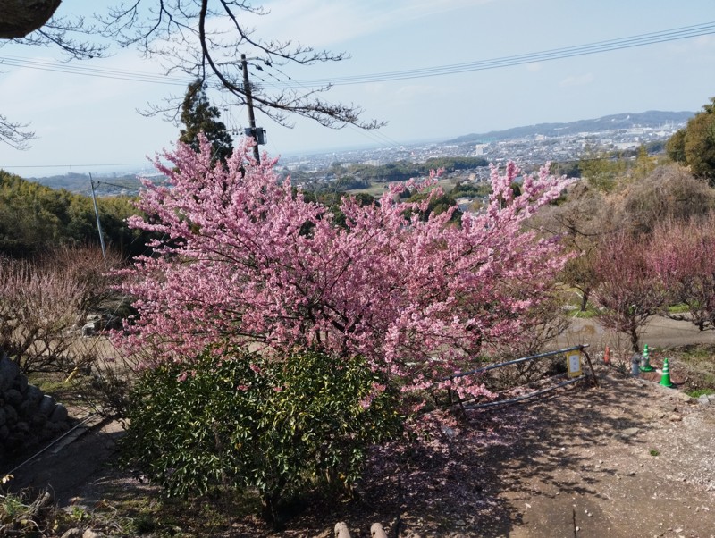 26.3.7三池山⛰️観光🦁