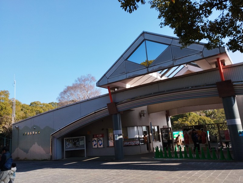 26.3.7三池山⛰️観光🦁