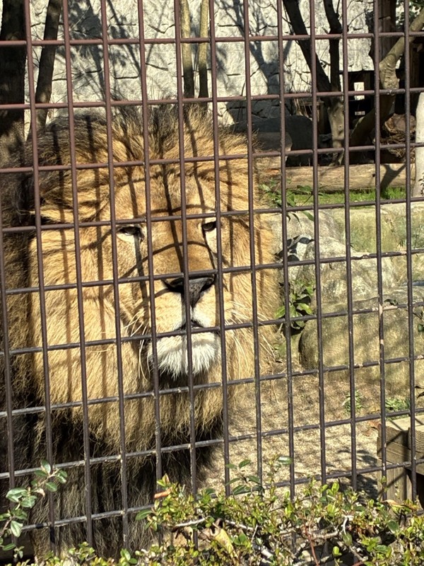 26.3.7三池山⛰️観光🦁
