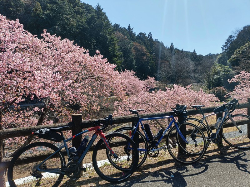 ときがわ町 桃木農村公園