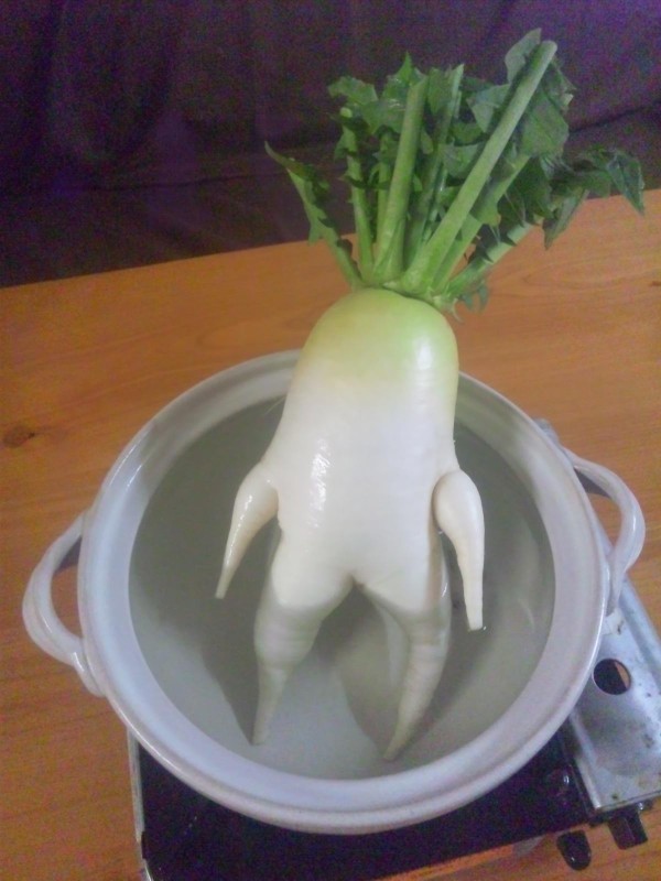 素晴らしい大根