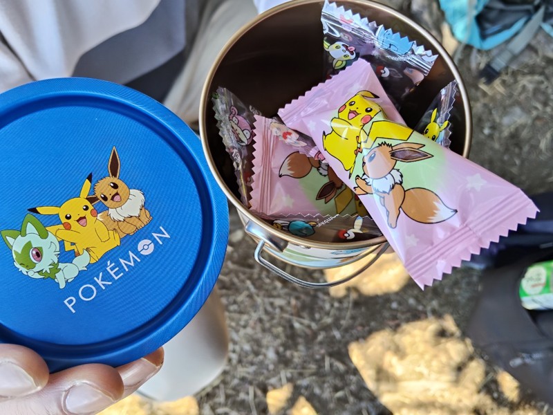 26.3.14二ノ岳登山⛰️