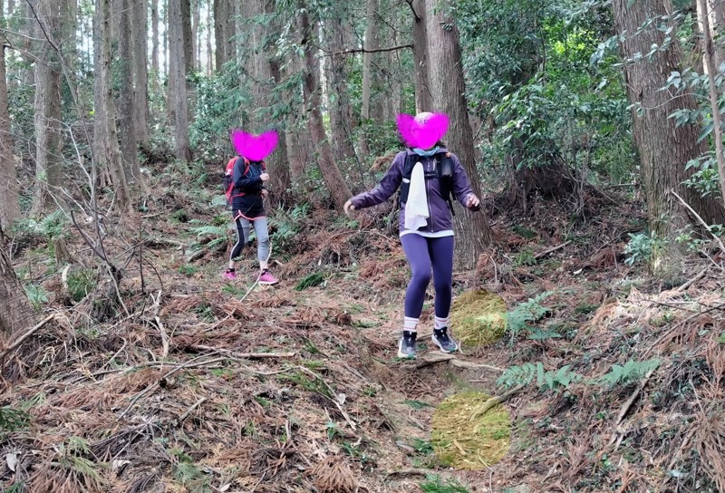 まだ、跳べるはずさ!