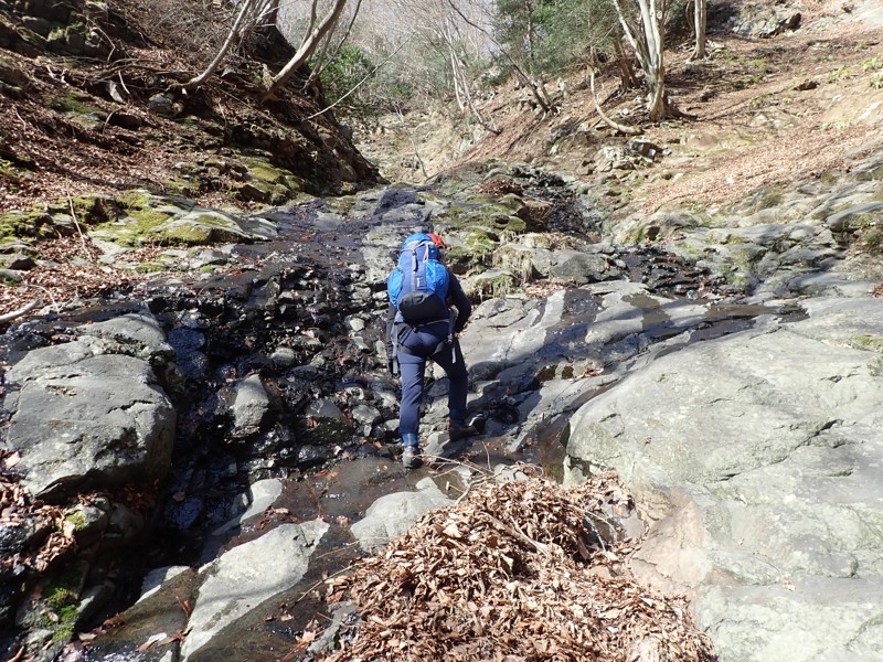 大小屋ノ沢202603