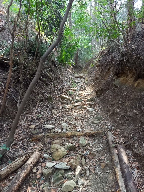 26.3.28鷹取山登山⛰️