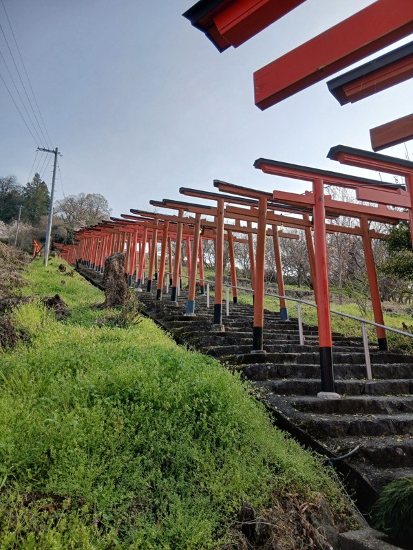 26.3.28鷹取山登山⛰️