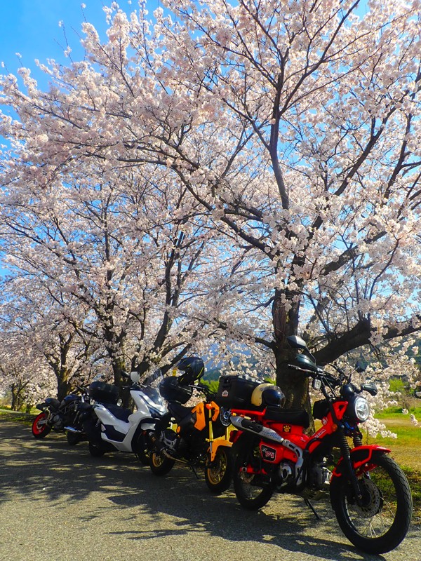 第54弾は敦賀touring