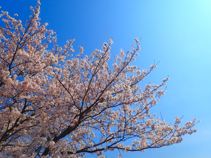 第54弾は敦賀touring