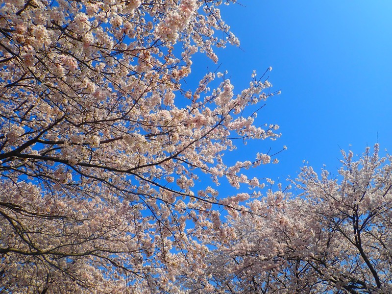 第54弾は敦賀touring