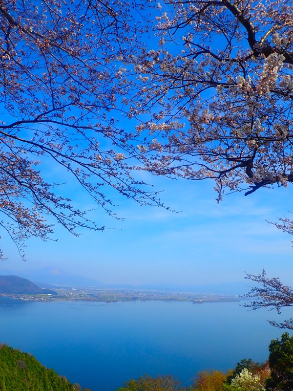 第54弾は敦賀touring