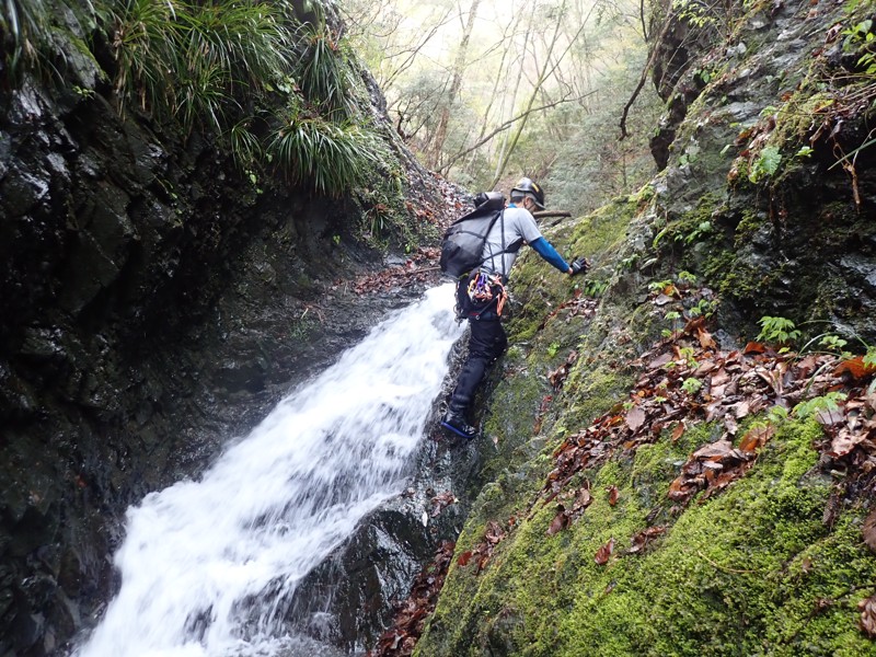 ダルマ沢左俣202604