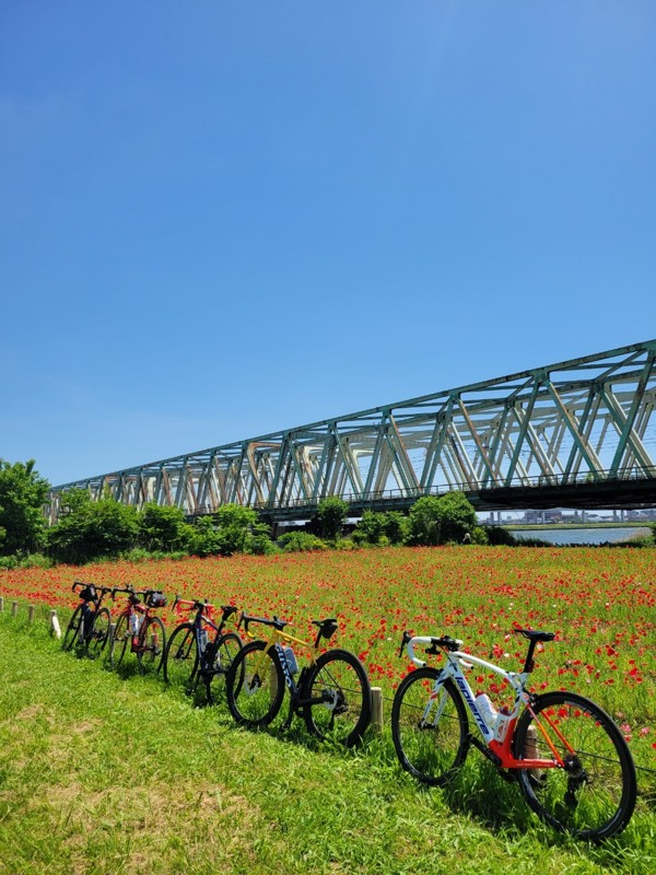 荒川から葛西臨海公園