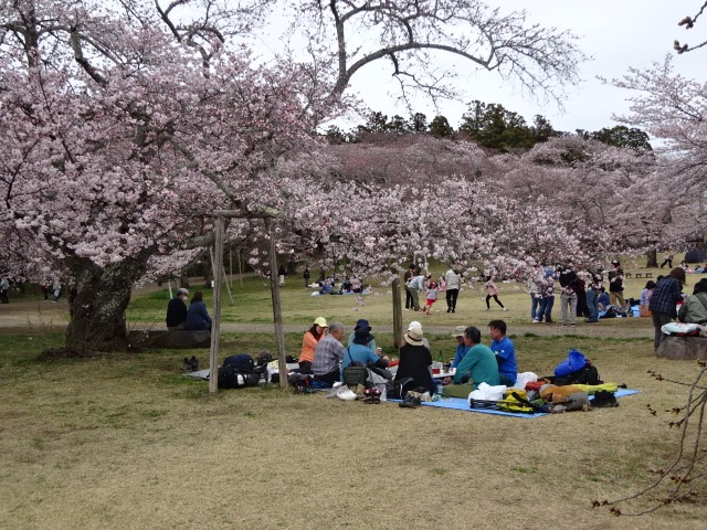 R8.04　太白山・三神峰