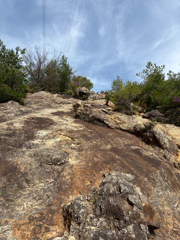 宝塚ロックガーデン
