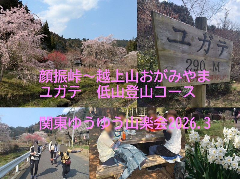 奥武蔵ハイキング
