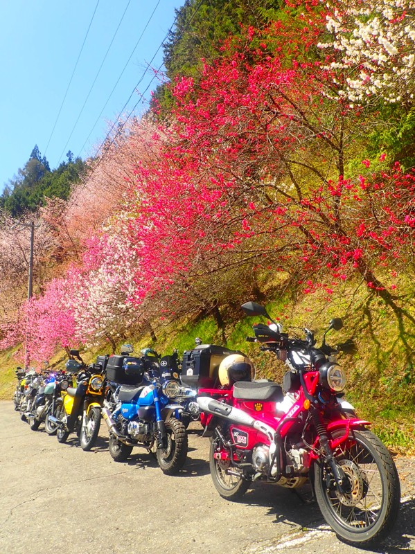 第55弾は阿智村touring